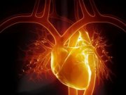 ويروسی که قلب را ری استارت می کند‎
