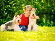 نگهداری حیوانات برای کودکان خطرناک است