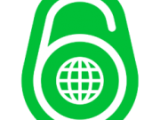 آغاز برنامه جهانی جايگزينی IPv4