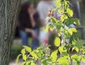 مديريت جنسي نوجوان