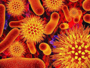 ۱۰ علامت بیماری هـــای خودایمنی