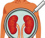 سلامت کلیه ها