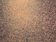 نقاشی کردن به کمک پشه ها