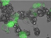 نانوکارخانه‌های داروسازی کنترل از راه دور