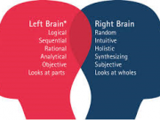 تست خودشناسی، کدام نیم کره مغزتان فعال تر است؟