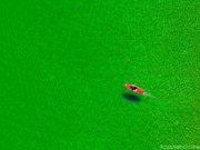 عکسهايي جذاب از بالا