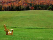 رازهای دستیابی به آرامش