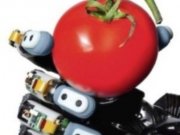 رباتی با حس لامسه برای مقابله با انسان