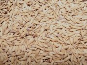 فناوری نسل بعد باتری گوشی های هوشمند