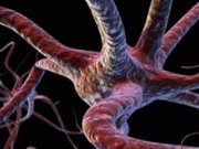 ۱۰ بیماری نادر و عجیب و غریب دنیا را بشناسید