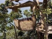 عجيـب ترين رستـورانـهای جـهان