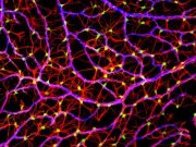 چگونه مي توان درست فكر كردن را به كودكان آموخت