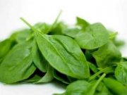 سبزی زمستانی