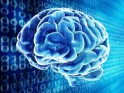 گوگل تکنولوژی مغز مجازی خود را به کار انداخت