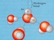 دانشمندان آب را گره زدند!