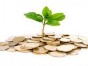 روش سازماندهی یک تیم مدیریت سرمایه