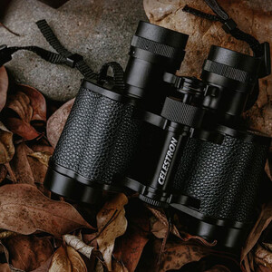 دوربین دو چشمی سلسترون