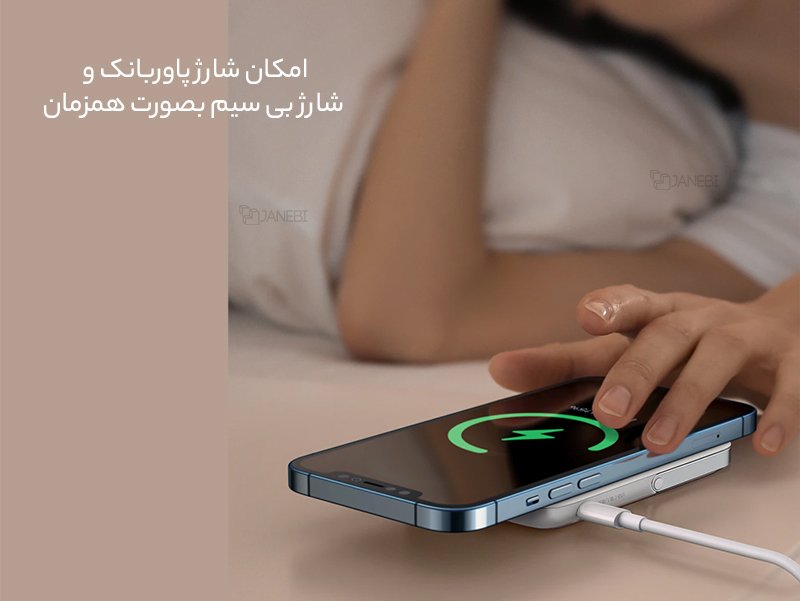 پاوربانک مک دودو