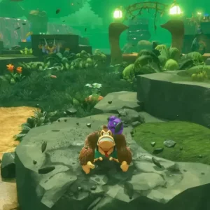 بازی Donkey Kong Bananza برای 2 Nintendo Switch