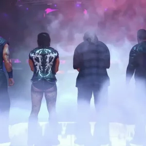 بازی WWE 2K24 برای PS5 (کارکرده)