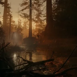 بازی Alan Wake 2 برای PS5 (کارکرده)