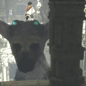 بازی The Last Guardian برای PS4 (کارکرده)