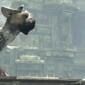بازی The Last Guardian برای PS4 (کارکرده)