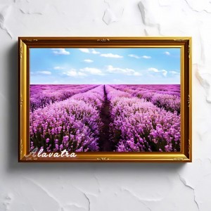 دیوار کوب مخملی اسطوخودوس