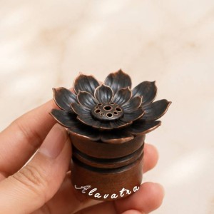 جاعودی مخروطی