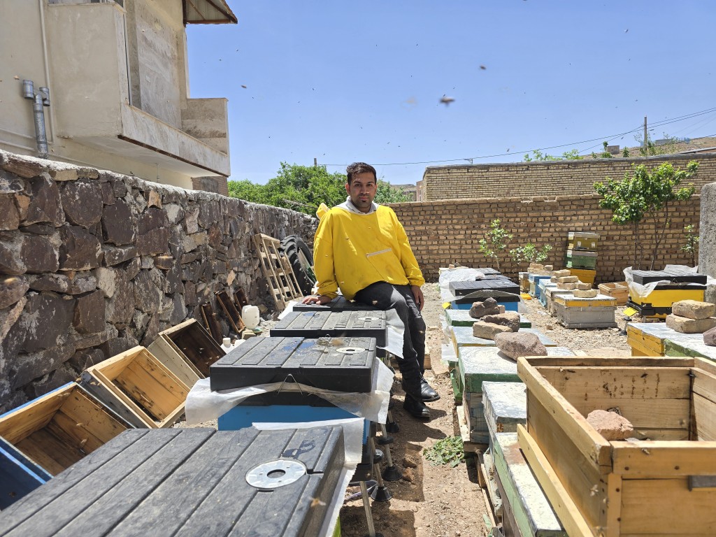 چطور عسل طبیعی را از تقلبی تشخیص دهیم؟ راهنمای کامل + نکات خرید