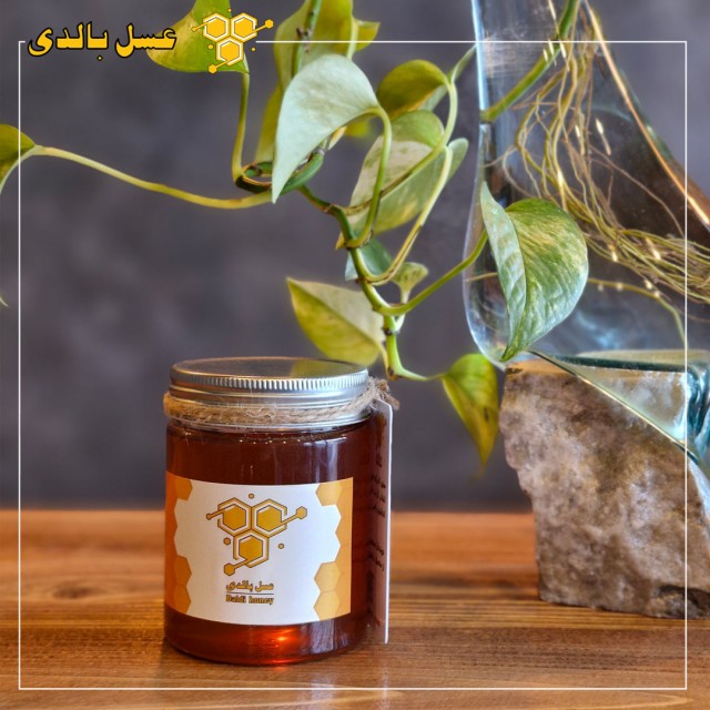 عسل طبیعی کوهستان 500 گرمی