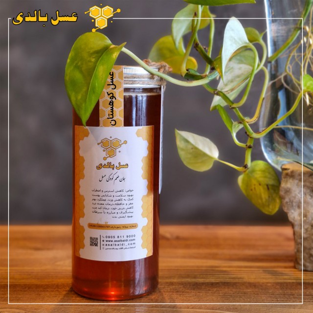 عسل طبیعی کوهستان یک کیلوئی
