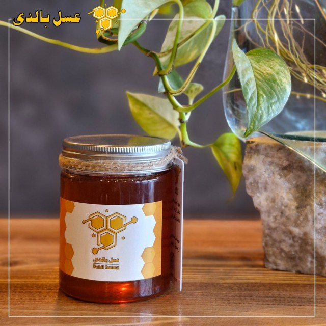 عسل طبیعی کنار 500 گرمی