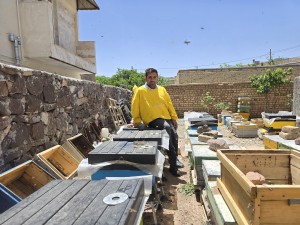 چطور عسل طبیعی را از تقلبی تشخیص دهیم؟ راهنمای کامل + نکات خرید