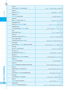 بیسترس انگلیسی دهم (دوز 60%)