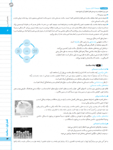 بیسترس سلامت و بهداشت دوازدهم انسانی (دوز 60%)