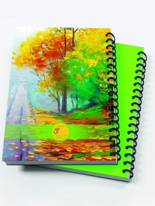 دفتر مشق 100 برگ پردیس کد 2