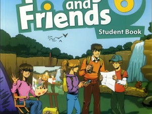 کتاب American Family and Friends 6