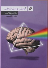 آموزش و پرورش شناختی، سنجش یادگیری انگاره