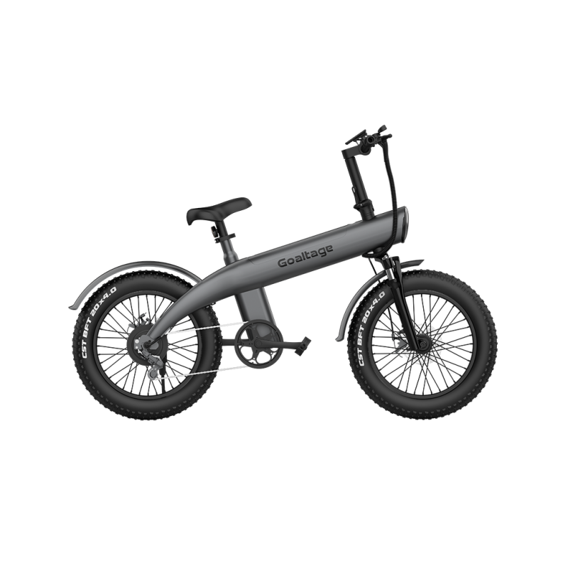 دوچرخه برقی گلتیج مدل Goaltage EBK01 EcoMotion