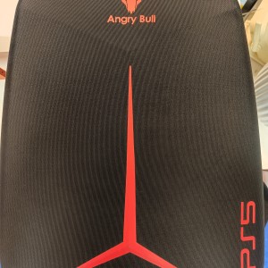 Playstation 5 Bag Fat