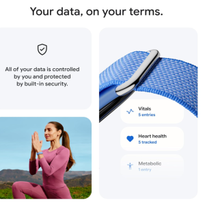 مچ بند هوشمند ورزشی گوگل Fitbit مدل Google Fitbit Air با بند پارچه‌ای