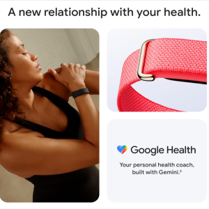 مچ بند هوشمند ورزشی گوگل Fitbit مدل Google Fitbit Air با بند پارچه‌ای