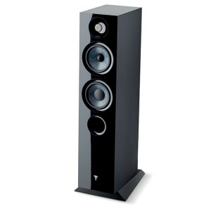 Focal chora 816