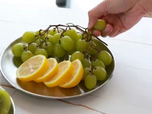 بشقاب گرد استیل سفری