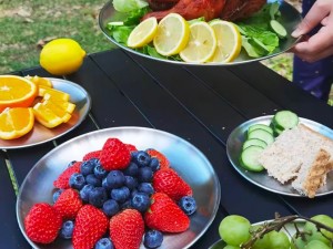 بشقاب گرد استیل سفری