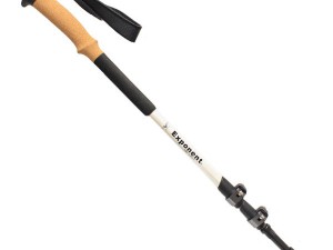 عصا کوهنوردی اکسپوننت دوعددی