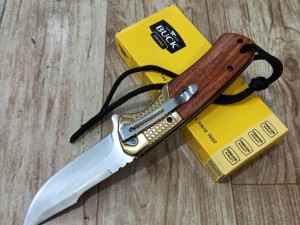 چاقو تاشو حرفه ای باک BUCK