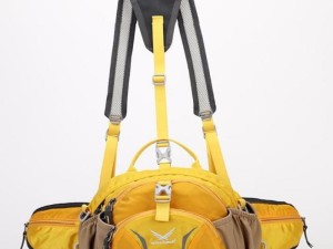 کیف کمری اسنوهاک مدل 6012