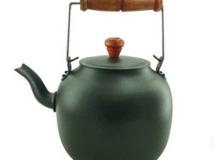 کتری آتشی 4 ليتری سناتور